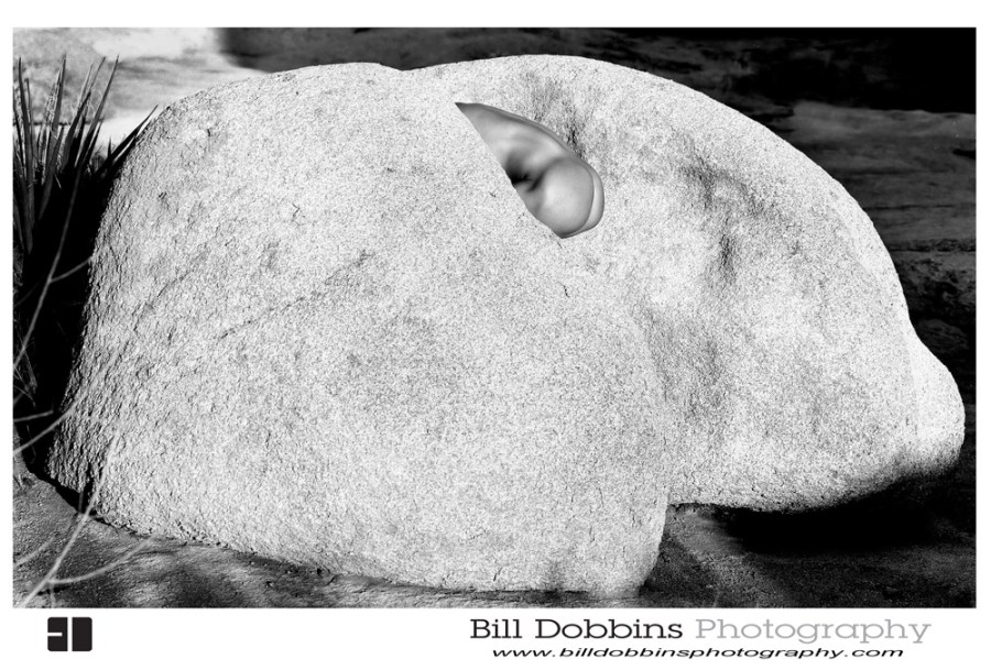 shelley_paolinetti01