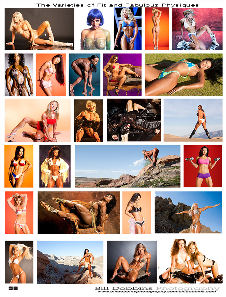 VARIETIES OF FIT-final